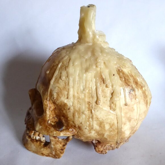 NEW HALLOWEEN GOTHIC HORROR TABLE CENTERPIECE APOTHECARY PROP ODDITY SKULL TRAY - Picture 7 of 15